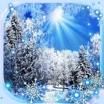 snow n sun live wallpaper android application logo